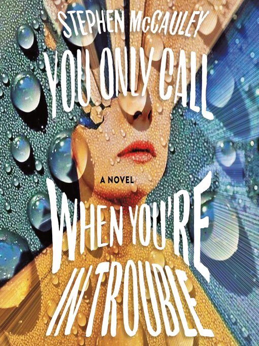 Title details for You Only Call When You're in Trouble by Stephen McCauley - Wait list